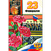 23 февраля