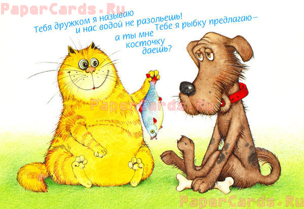 Кот с рыбкой и собачка
