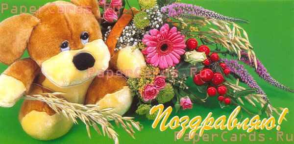 Поздравляю! Мишка